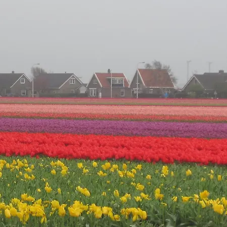 尤里卡休闲度假屋 *