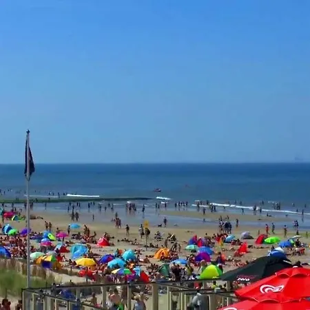 尤里卡休闲度假屋 酒店