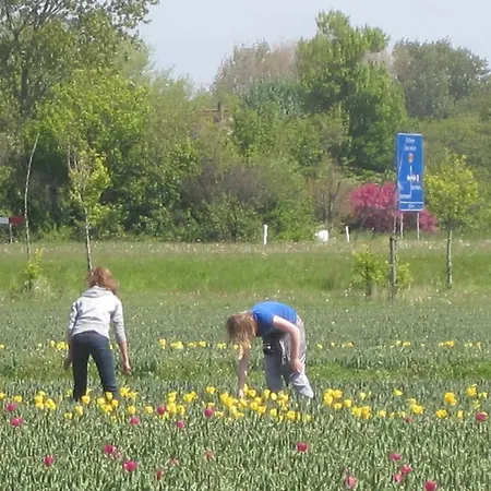 尤里卡休闲度假屋 Sint Maartensvlotbrug
