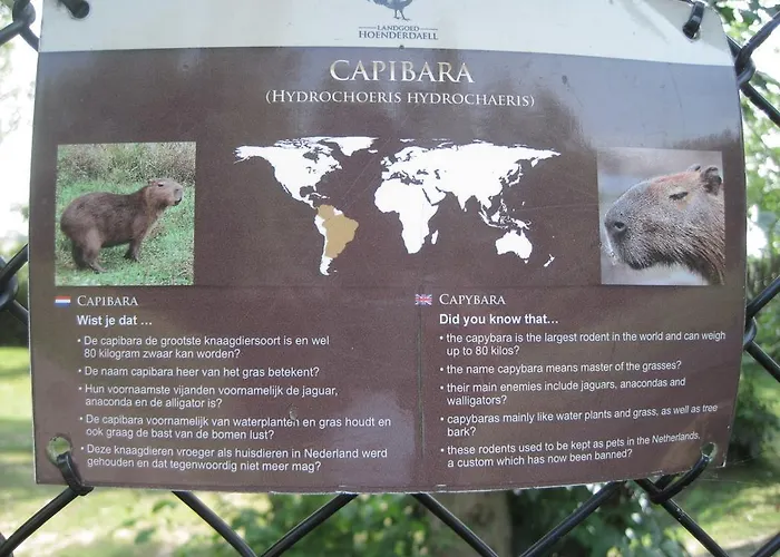 Recreatie Bungalow Eureka Hotel Sint Maartensvlotbrug